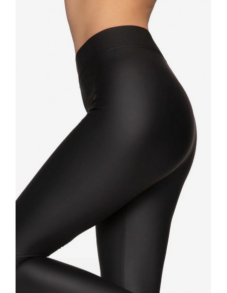 Colanti clasici - Gatta New York 01