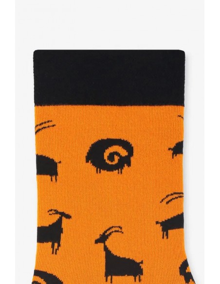 Sosete pentru barbati