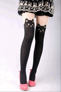 Dresuri Pisica Noir 2